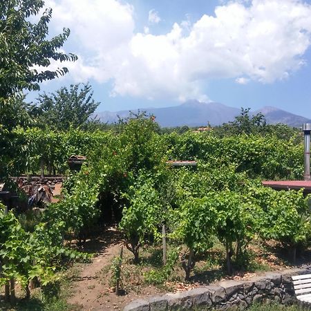Sorbello Dell'Etna Villa Milo Exteriör bild
