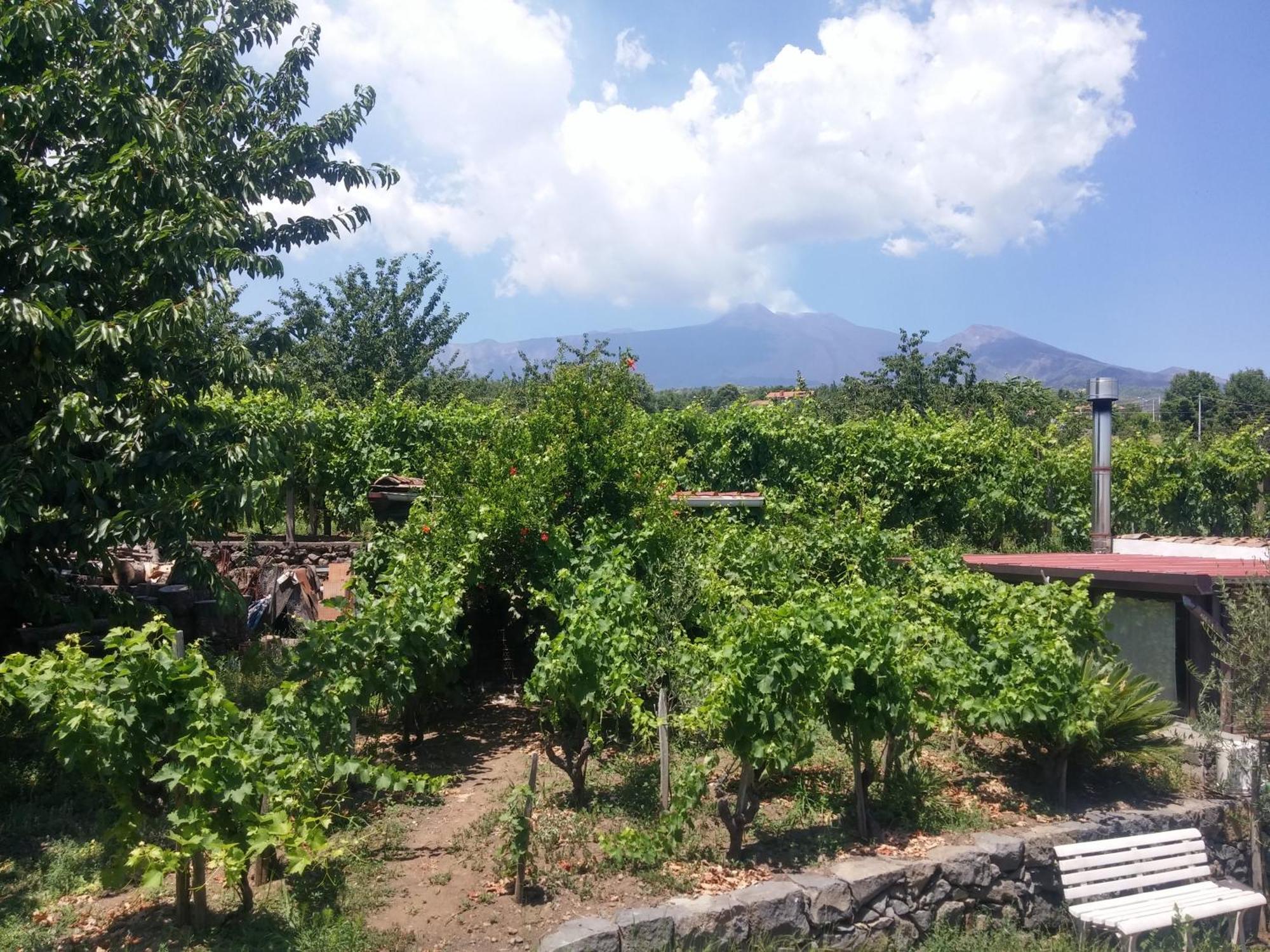 Sorbello Dell'Etna Villa Milo Exteriör bild